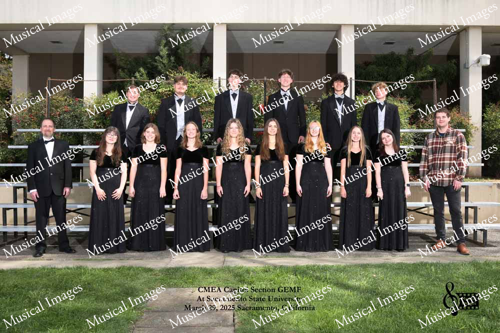 Musical Images